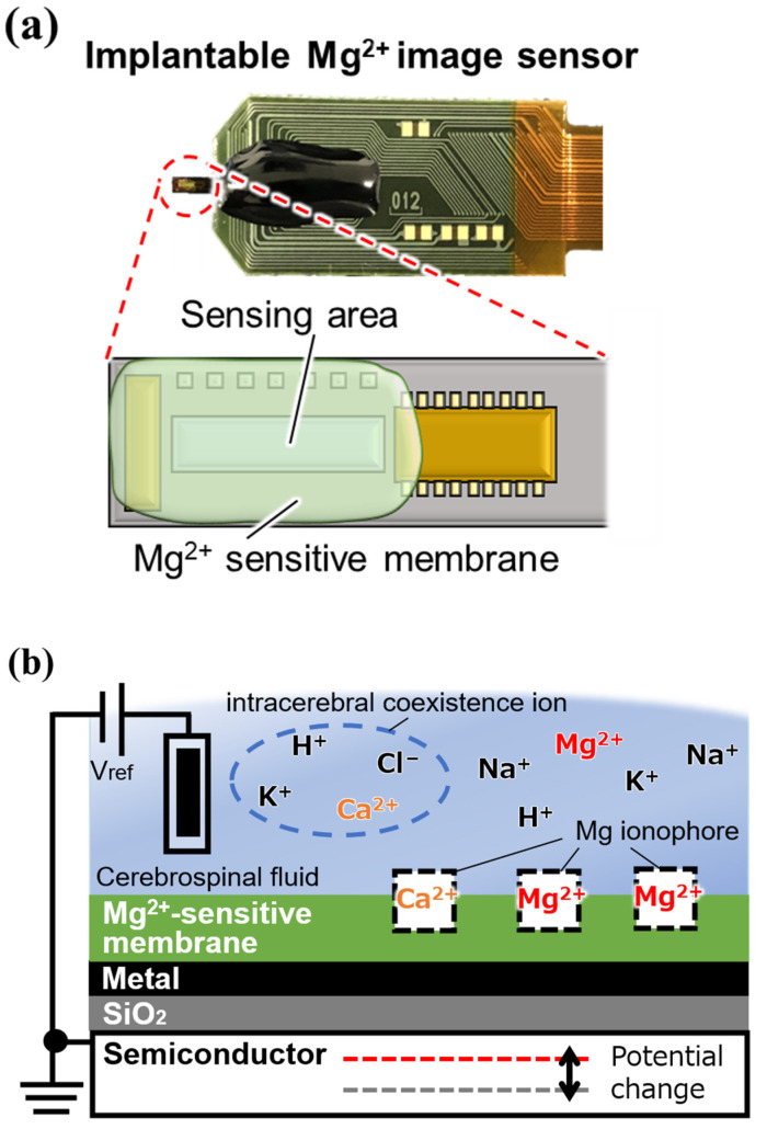 Figure 2