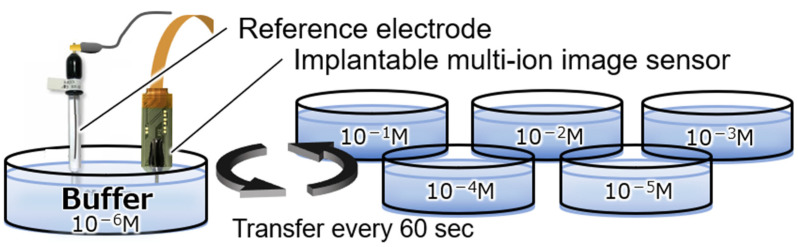 Figure 7