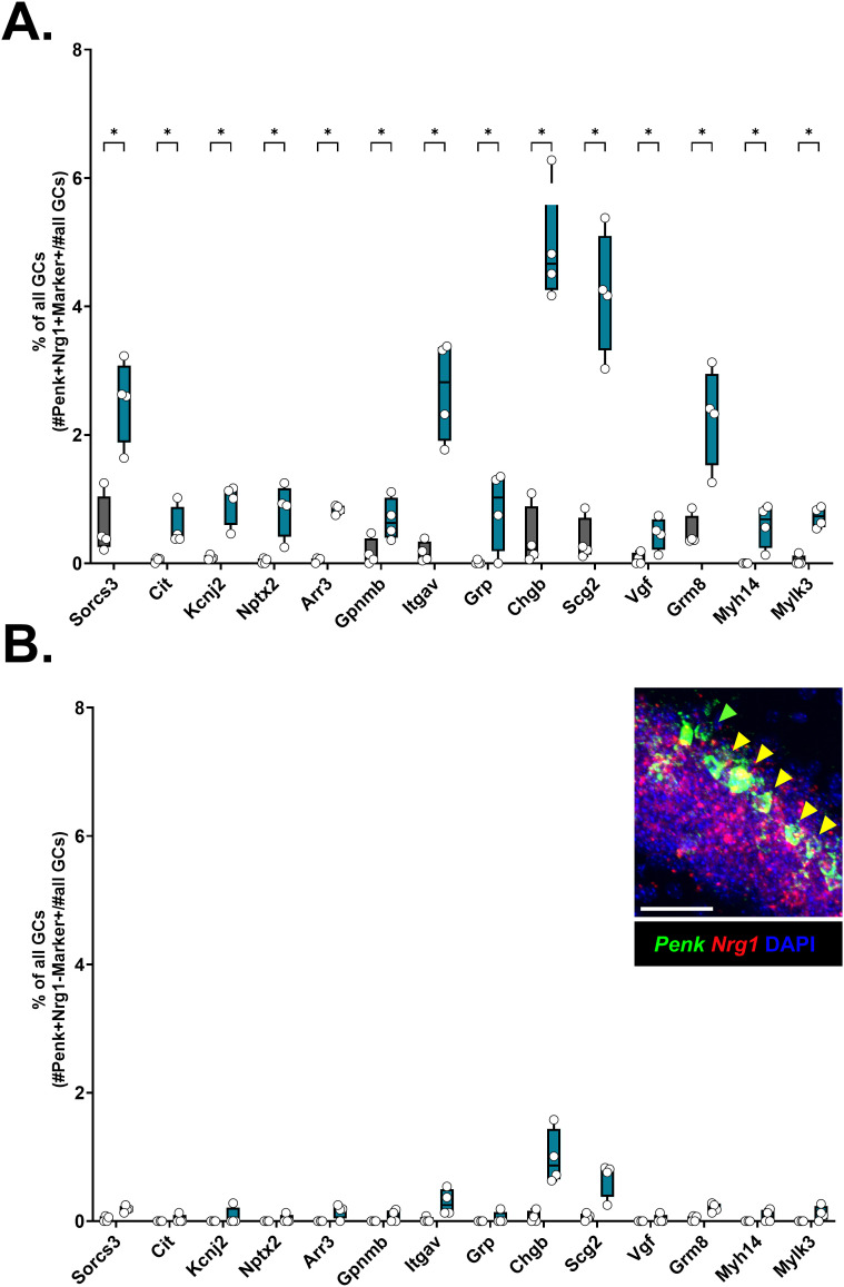 Figure 14