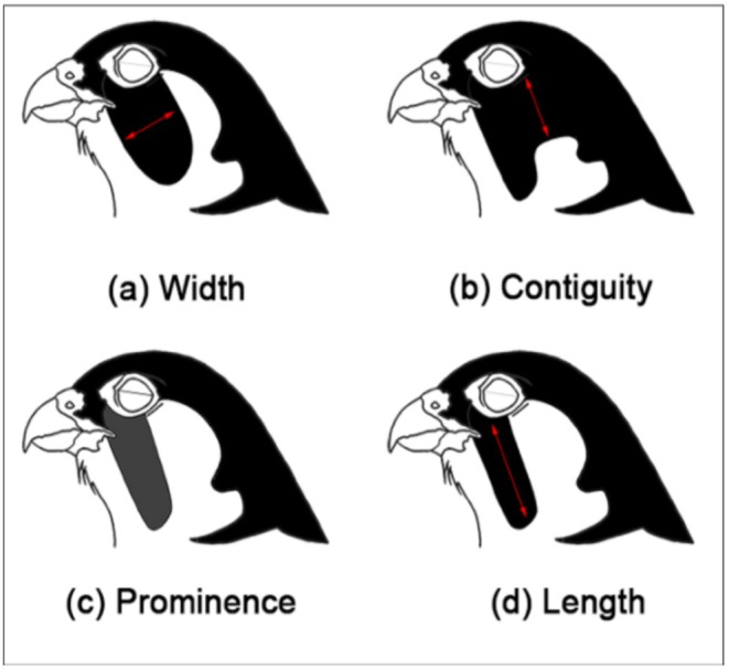FIGURE 2