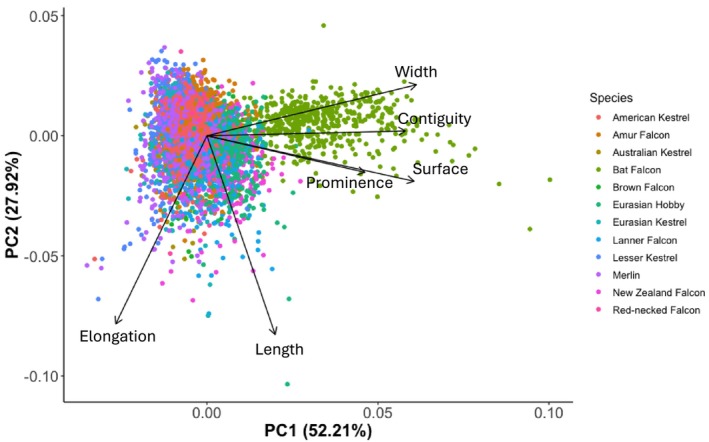 FIGURE 3