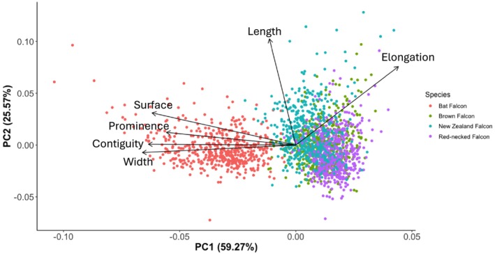 FIGURE 4