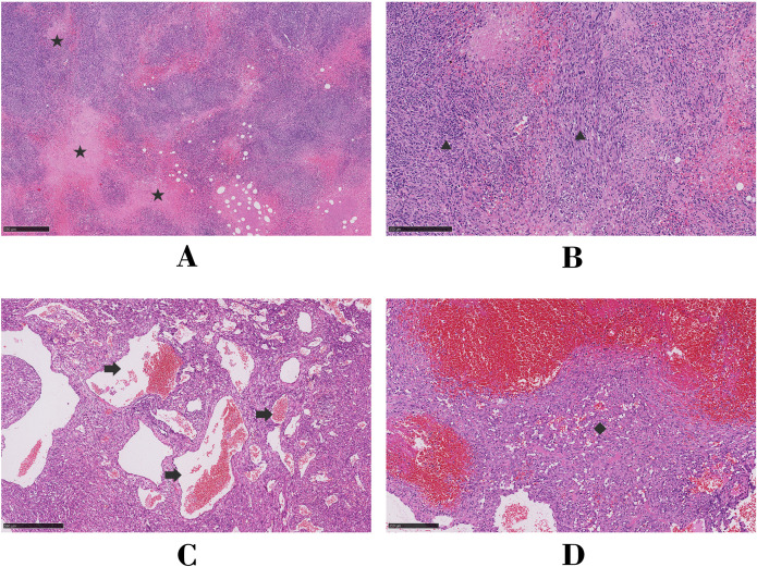 Figure 3