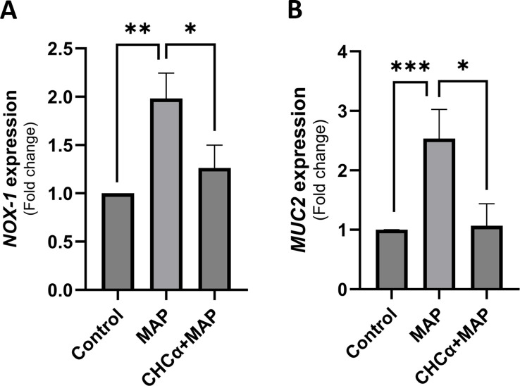 Figure 4