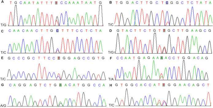 Figure 2