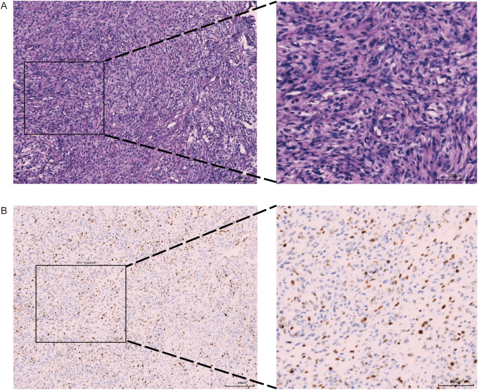Figure 2