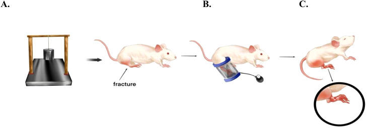 Figure 1