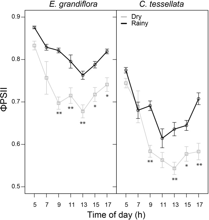 Figure 3