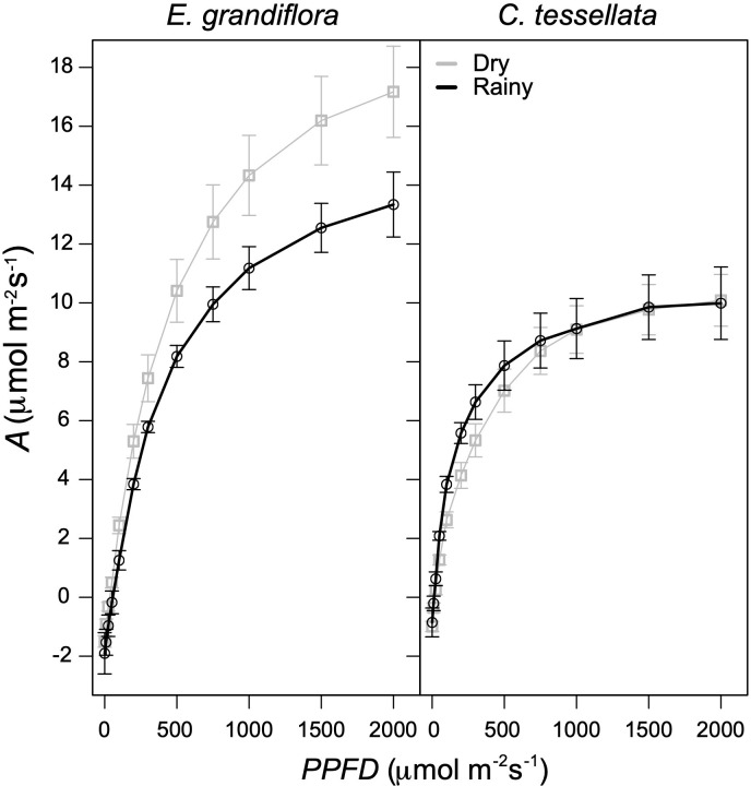 Figure 4
