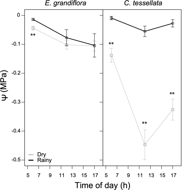 Figure 5