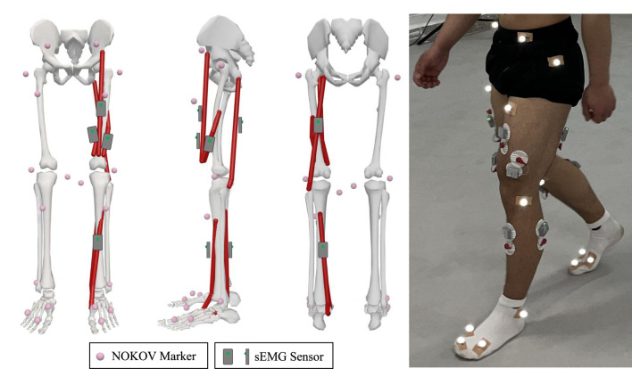 FIGURE 3