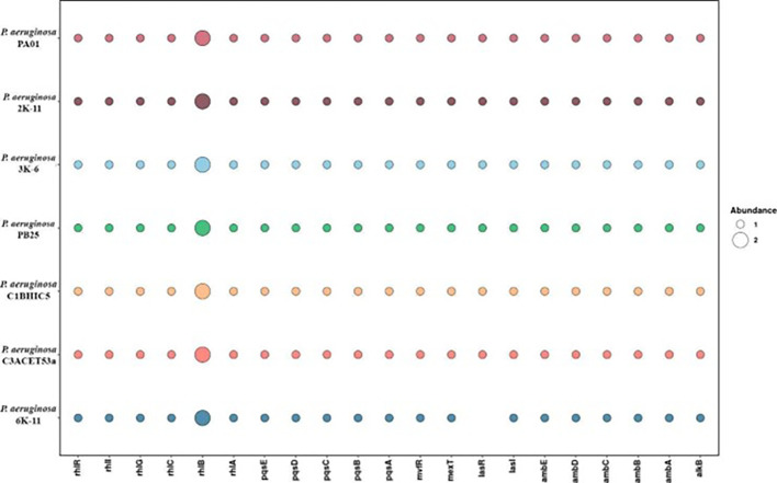 Figure 5
