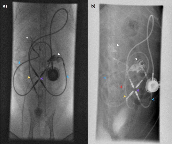 FIGURE 3