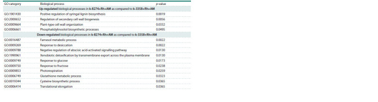 Table 3