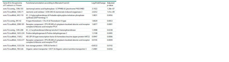 Table 4