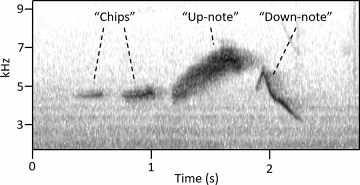 Fig 3