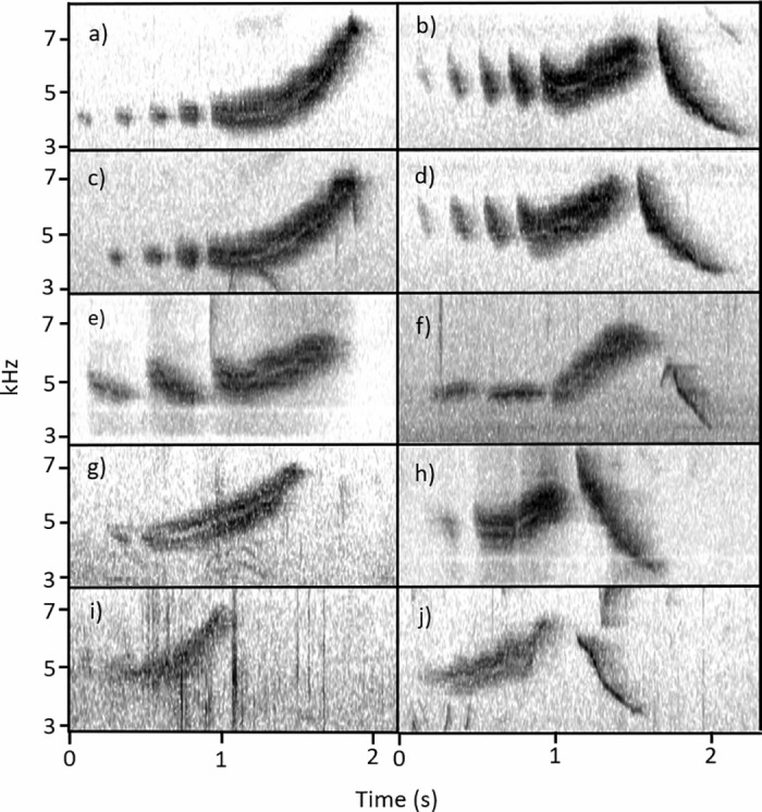 Fig 4