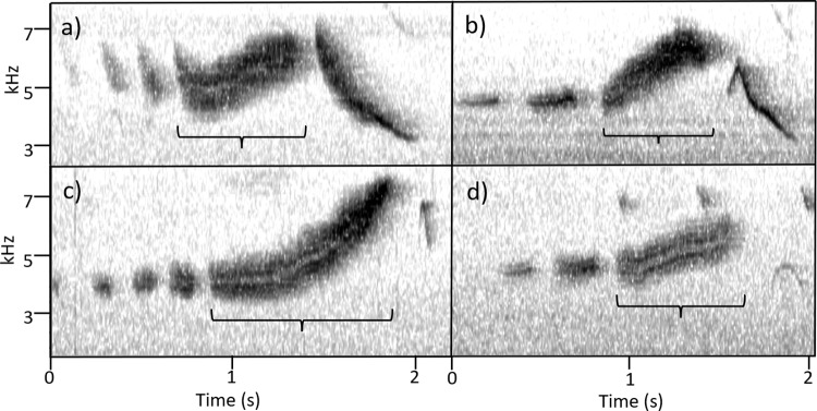 Fig 5