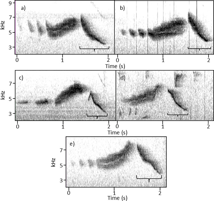 Fig 6