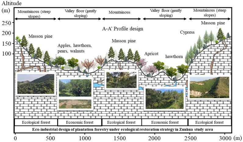 Fig 11