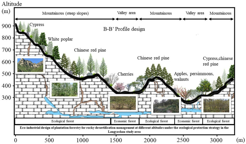Fig 12