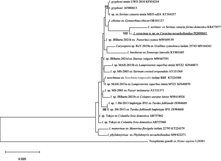 FIGURE 2