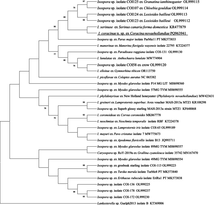 FIGURE 4