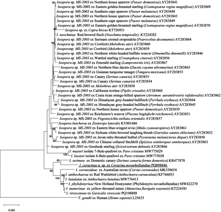 FIGURE 3