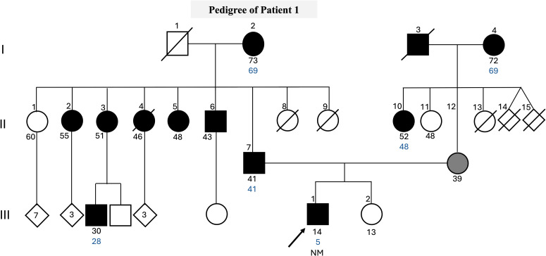 Figure 1