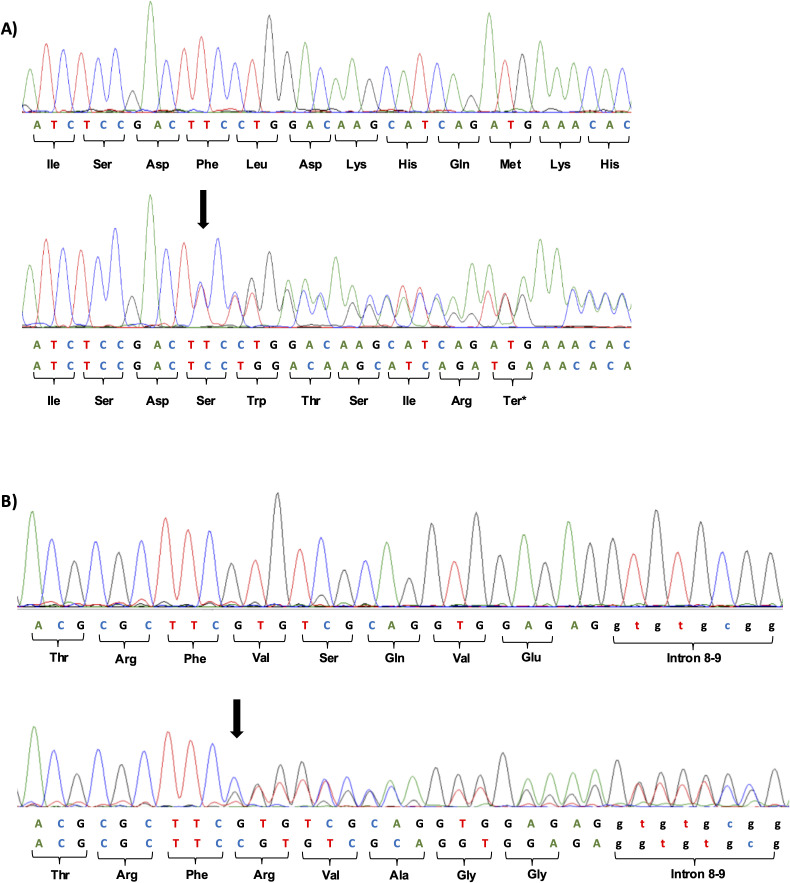 Figure 3