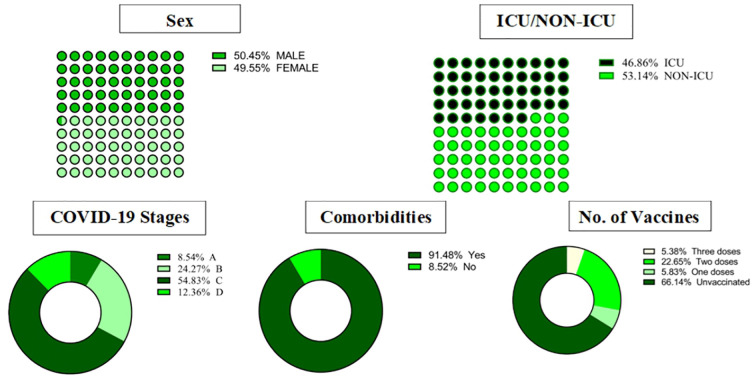 Figure 1