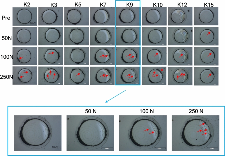 Figure 10