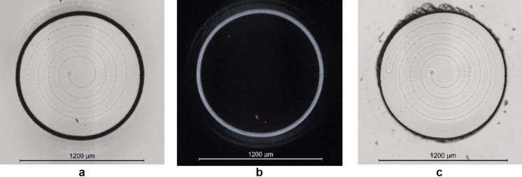Figure 8