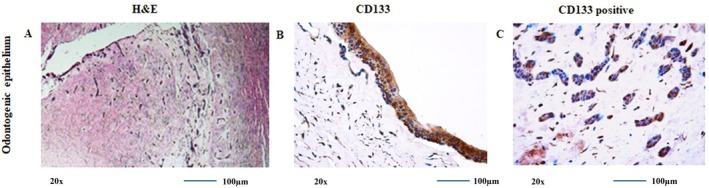 FIGURE 3