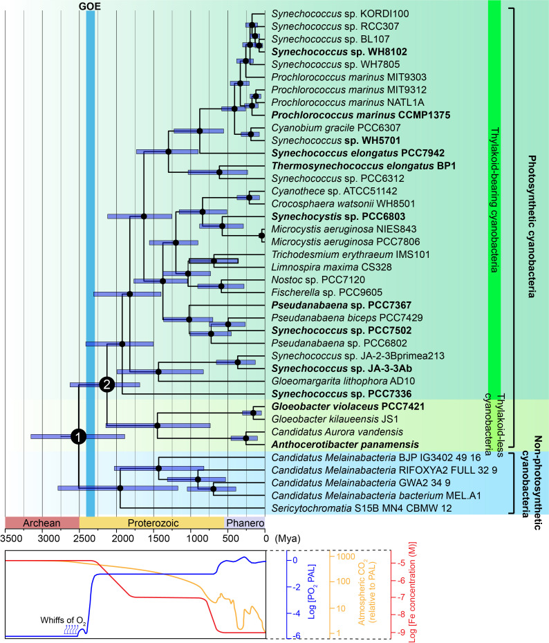 Figure 1