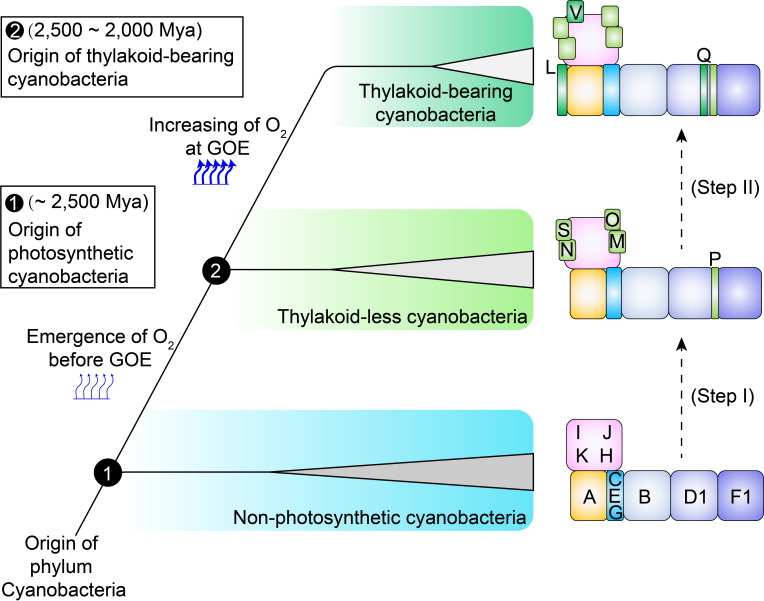 Figure 3