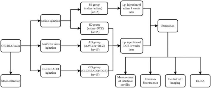 FIGURE 1