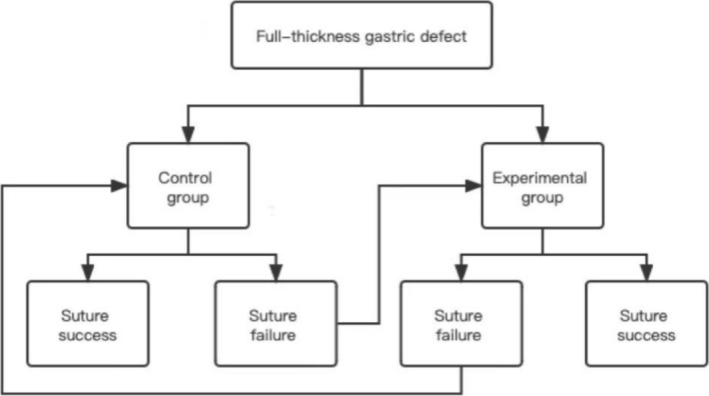 FIGURE 2
