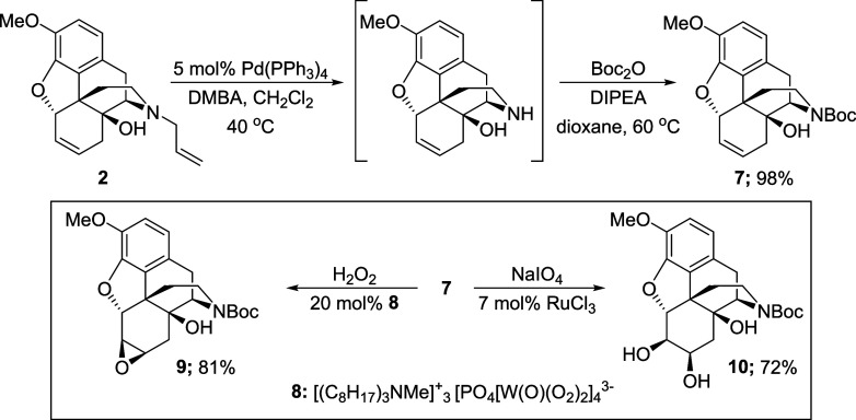 Scheme 5