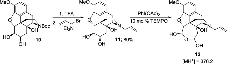 Scheme 6