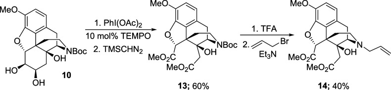 Scheme 7