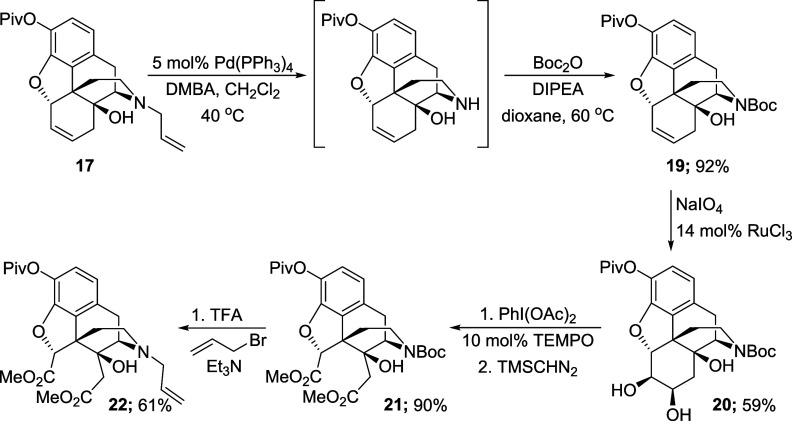 Scheme 10