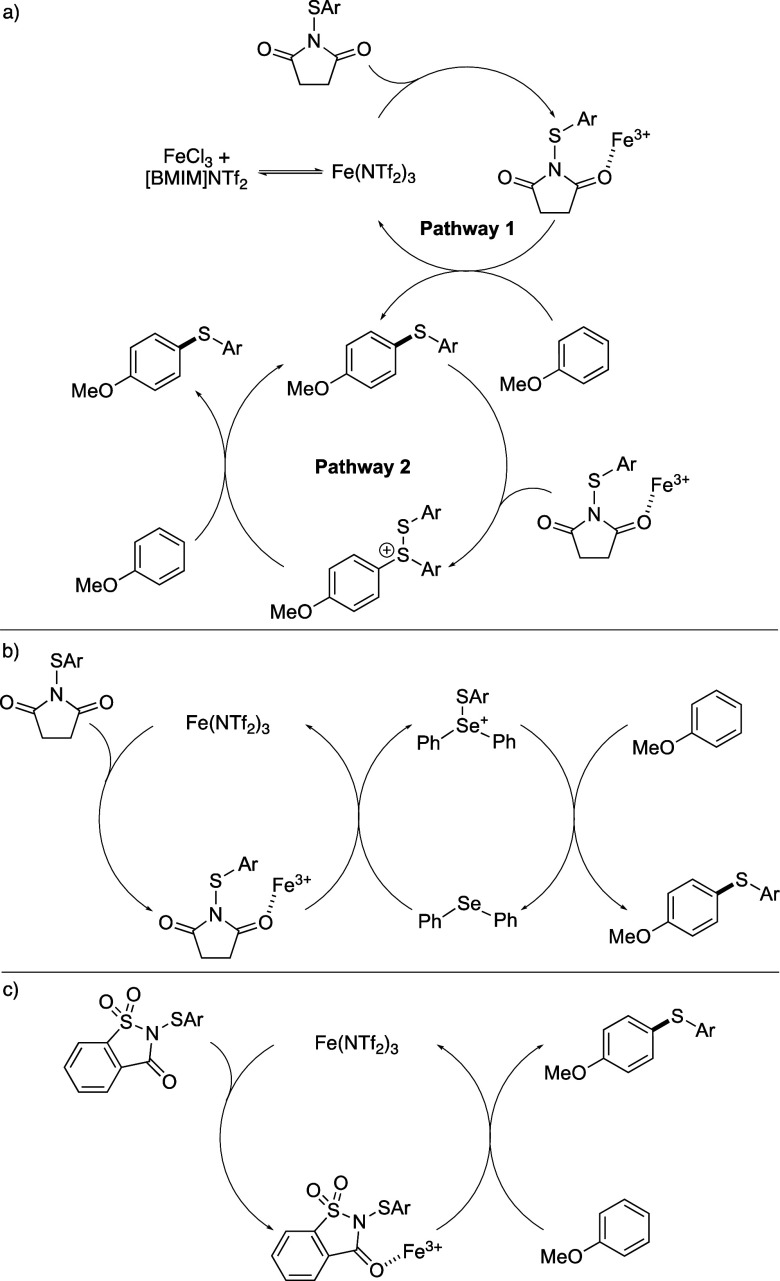 Scheme 3