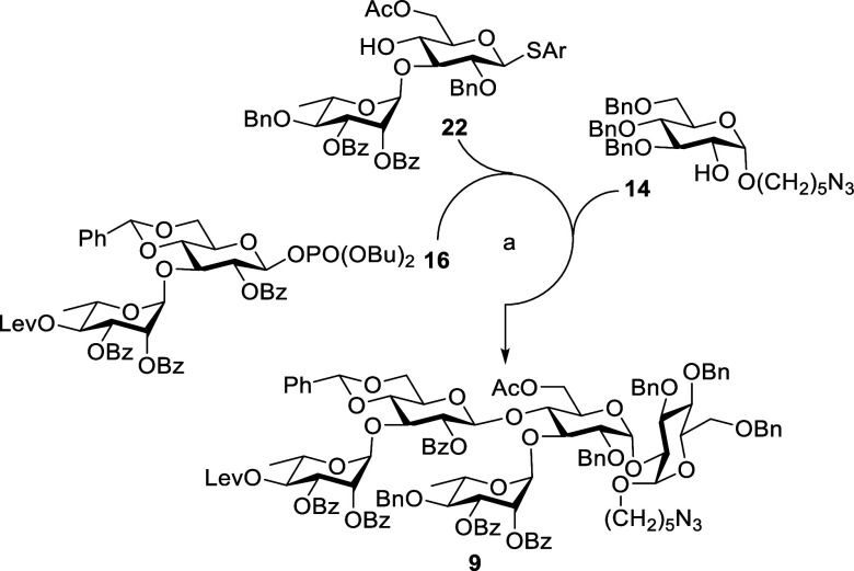 Scheme 3