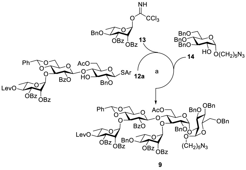 Scheme 5