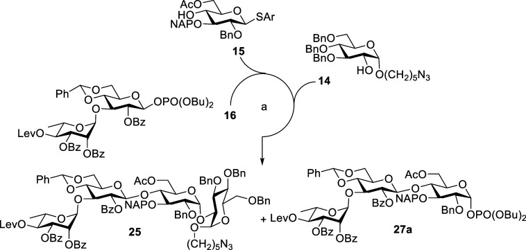 Scheme 7