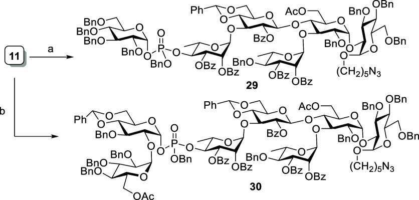 Scheme 10