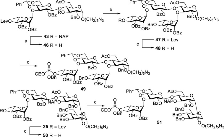 Scheme 15