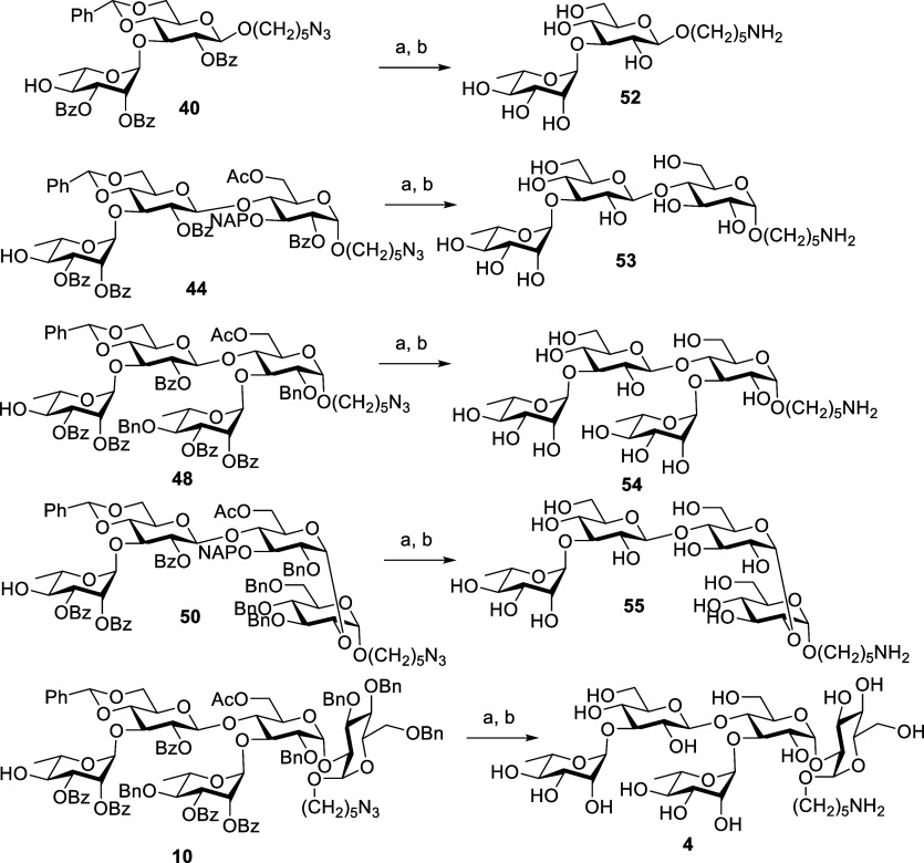 Scheme 16