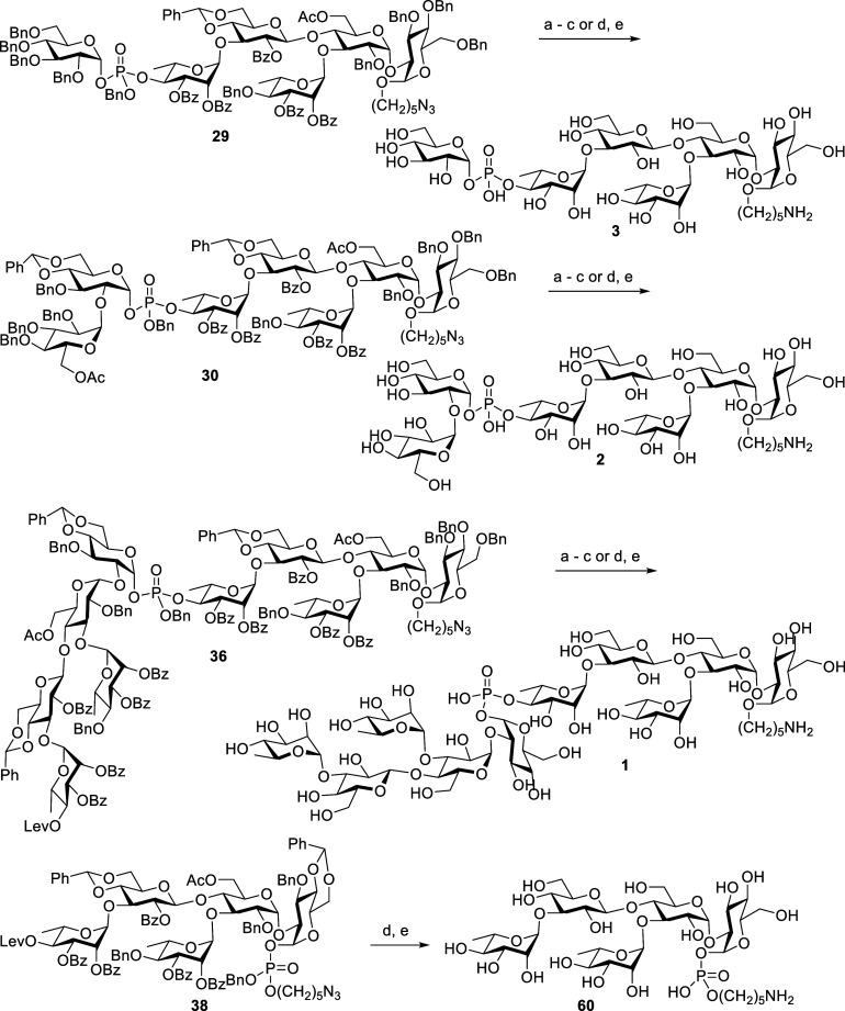 Scheme 18